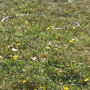 Meet your Posher, Mackenzie